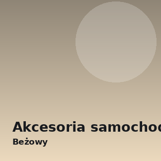 Klarus Hold 21 Zestaw, beżowy